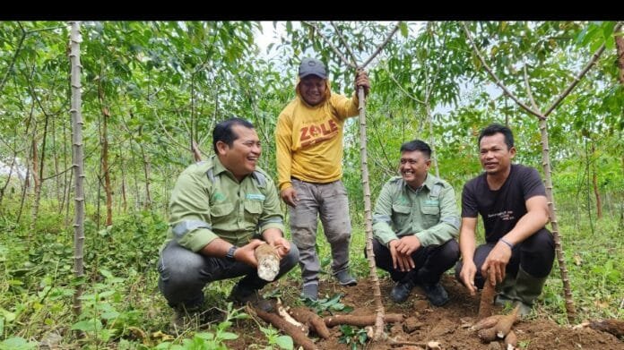 Screenshot_20241126-120025