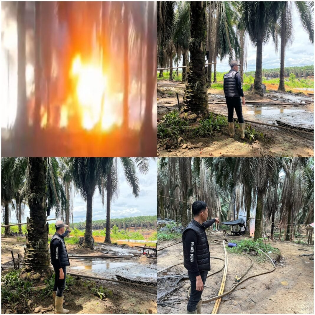 Kapolres Musi Banyuasin berikan klarifikasi terkait insiden kebakaran di Area Kebun Hindoli. Kapolres Musi Banyuasin berikan klarifikasi terkait insiden kebakaran di Area Kebun Hindoli.