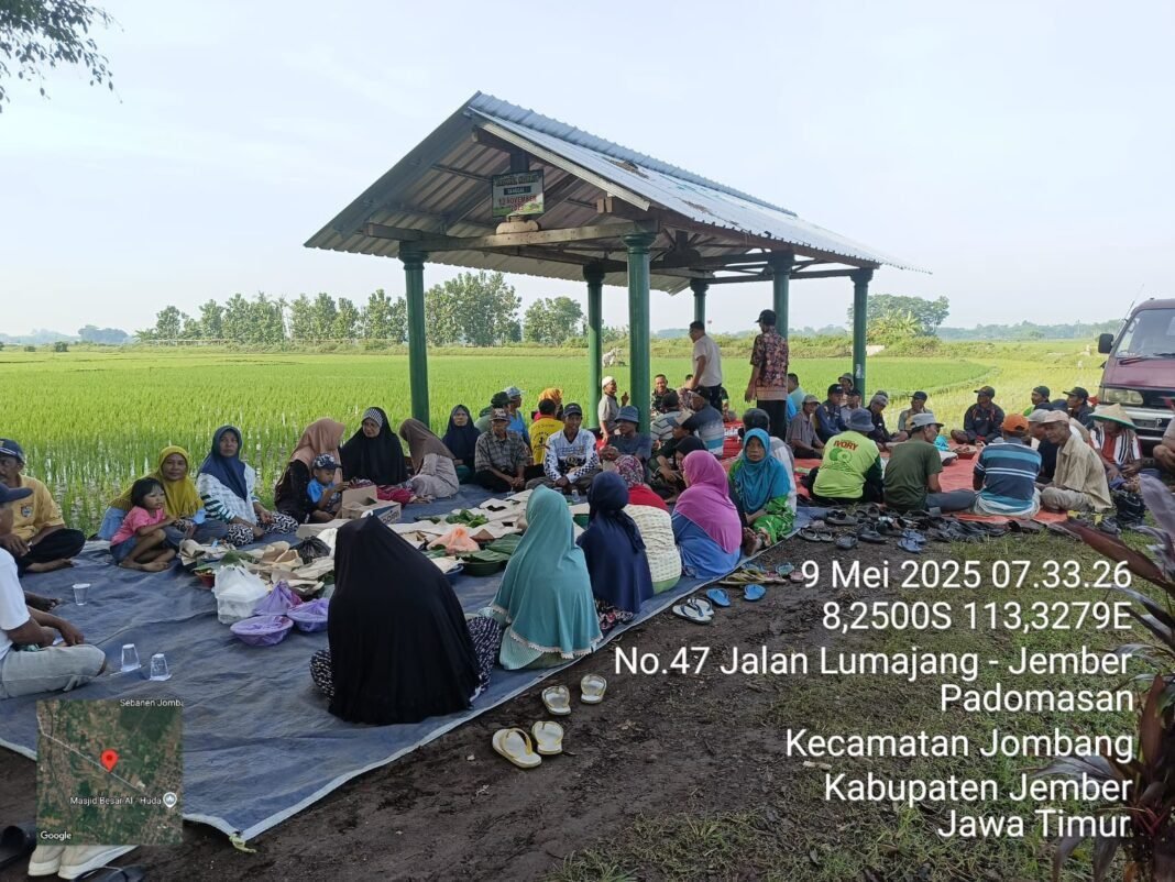 Salamatan Tutup Tandur, Dengan Harapan Padi Tumbuh Subur dan Aman Dari Hama Salamatan Tutup Tandur, Dengan Harapan Padi Tumbuh Subur dan Aman Dari Hama