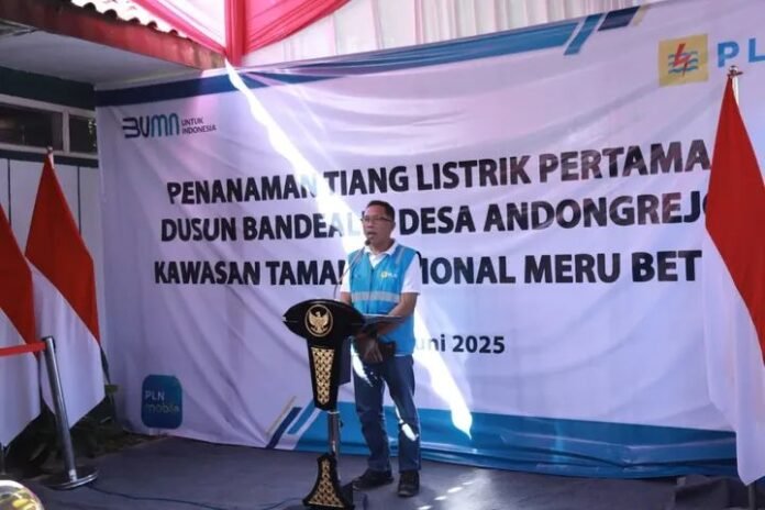 FB_IMG_1749266904269