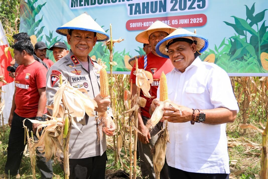 Kapolda Maluku Utara Hadiri Panen Raya Jagung Serentak dan Groundbreaking Gudang Pangan* Kapolda Maluku Utara Hadiri Panen Raya Jagung Serentak dan Groundbreaking Gudang Pangan*