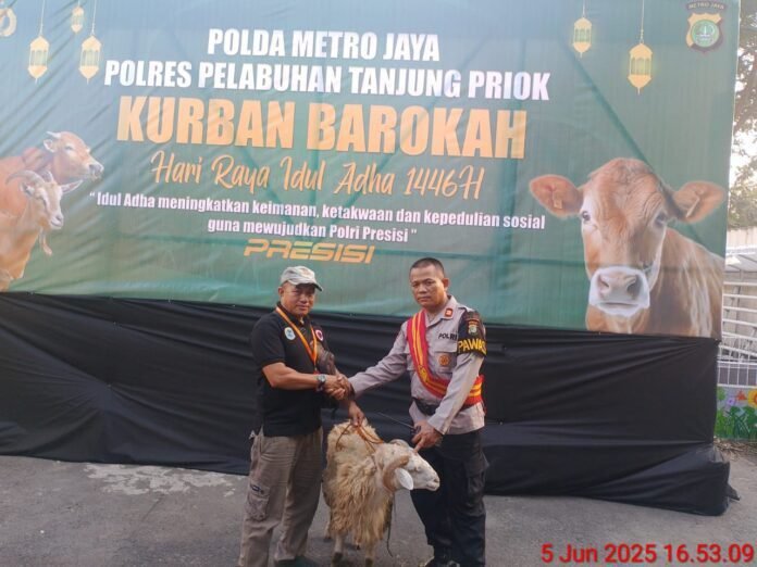 IMG-20250606-WA0322(1)