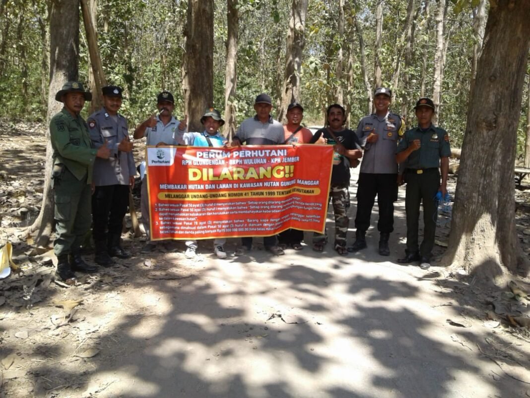 Kebakaran Hutan di Ambulu Diduga Sengaja, Petugas dan Warga Gerak Cepat Padamkan Api Kebakaran Hutan di Ambulu Diduga Sengaja, Petugas dan Warga Gerak Cepat Padamkan Api