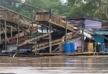 PETI Di Sanggau Gila Babi. Asip Dan Awang Aman Dan Tentram