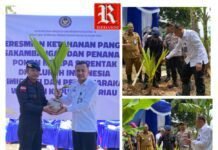 UPT IMIPAS Wilayah Kepri Turut Sukseskan Penanaman Kelapa Serentak dan Peresmian Ketahanan Pangan