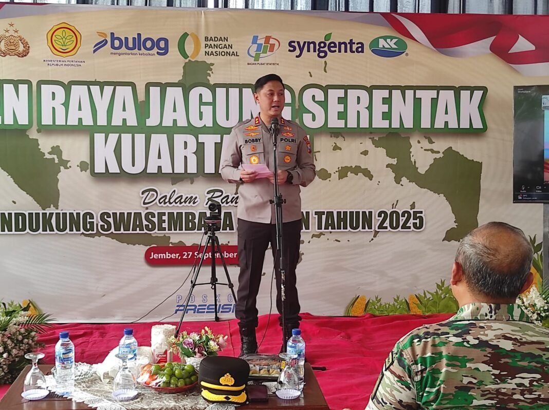 Panen Raya Batch 3 di Jember: Bukti Nyata Peningkatan Ketahanan Pangan Nasional Panen Raya Batch 3 di Jember: Bukti Nyata Peningkatan Ketahanan Pangan Nasional