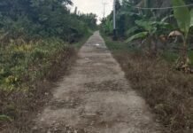 VIRAL JALAN APBD DESA YANG RUSAK PARAHQ