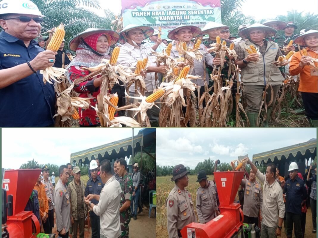 Dukung Ketahanan Pangan : Polres Fakfak Sukses Gelar Panen Raya Jagung Serentak. Dukung Ketahanan Pangan : Polres Fakfak Sukses Gelar Panen Raya Jagung Serentak.