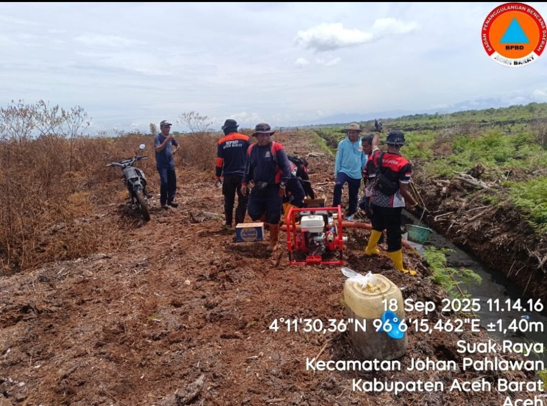 Karhutla Kembali Terjadi Di Suak Raya,Tim BPBD Aceh Barat Padamkan Kobaran Api Dalam Tempo Singkat Karhutla Kembali Terjadi Di Suak Raya,Tim BPBD Aceh Barat Padamkan Kobaran Api Dalam Tempo Singkat