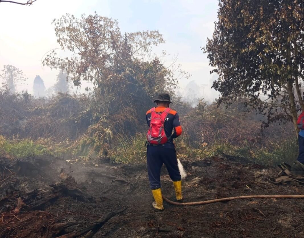 Dalam Sepekan, 12,8 Hektar Hutan Dan Lahan (Hutla) Di Aceh Barat Terbakar Dalam Sepekan, 12,8 Hektar Hutan Dan Lahan (Hutla) Di Aceh Barat Terbakar