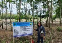 Proyek Miliaran Jalan Pengabuan PALI Disorot: Diduga Lanjut Tanpa Perbaikan Standar Teknis, Mutuu