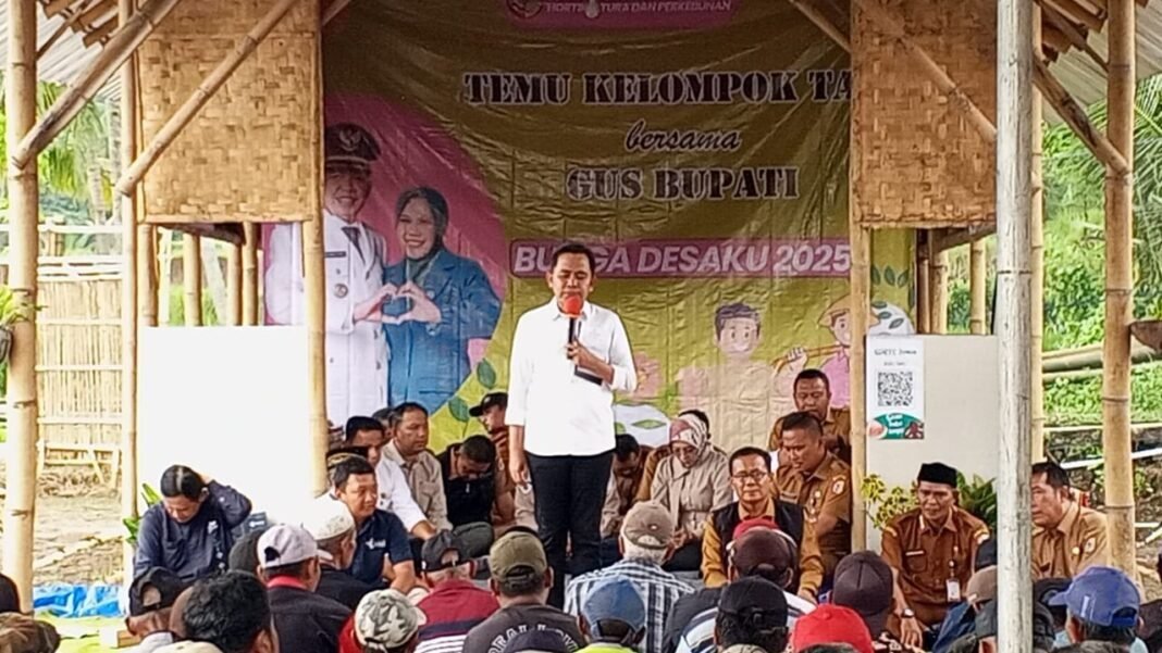 Gus Bupati Fawait Kobarkan Semangat Ketahanan Pangan dari Panti, Jember Gus Bupati Fawait Kobarkan Semangat Ketahanan Pangan dari Panti, Jember