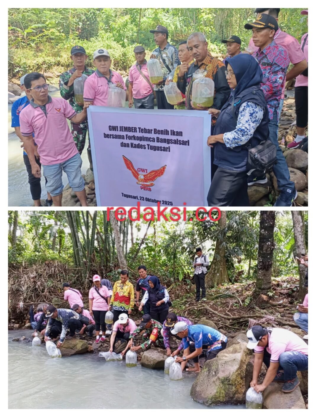 Dari Jurnalis untuk Alam, GWI Jember Tebar Ribuan Ikan di Sungai tengah Sumberketangi Dari Jurnalis untuk Alam, GWI Jember Tebar Ribuan Ikan di Sungai tengah Sumberketangi