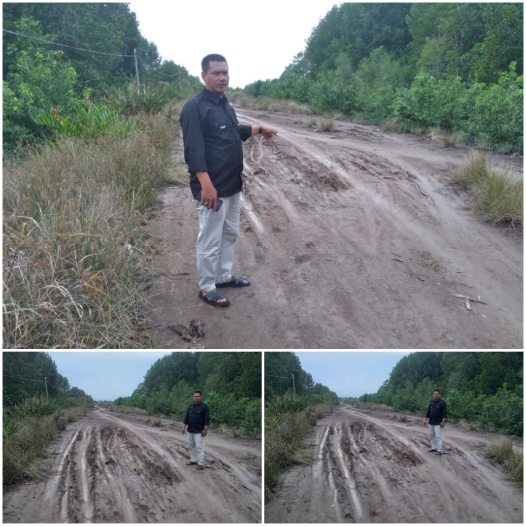 Jalan Pelabuhan Tanjung Padang kecamatan Tasik putri puyu Kabupaten Kepulauan Meranti. Jalan Pelabuhan Tanjung Padang kecamatan Tasik putri puyu Kabupaten Kepulauan Meranti.