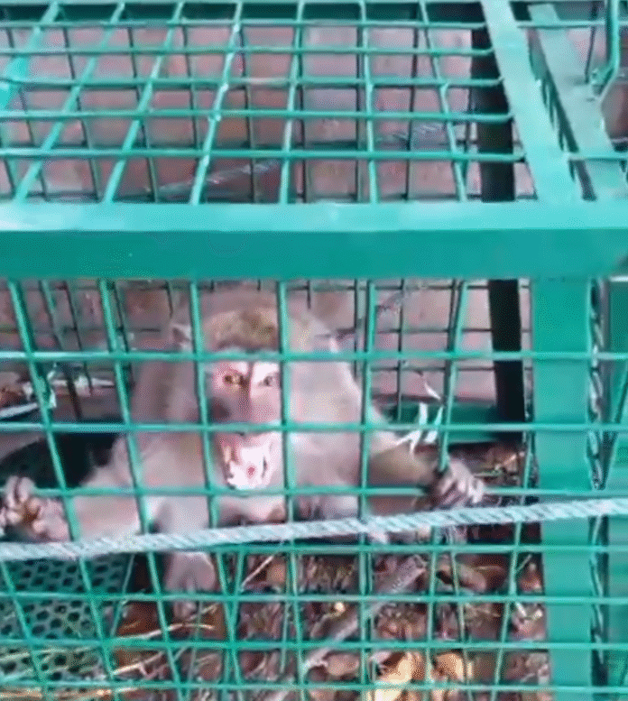 IMG_20251113_185042_817