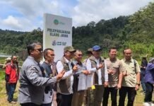 Elang Jawa Raja Dirgantara Kembali Dilepas ke Alam Taman Nasional Gunung Pangrango Sukabumi