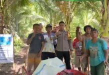 Wujud Polri Presisi, Bhabinkamtibmas Desa Kamaya Bersama Warga Bangun Jalan Tani*