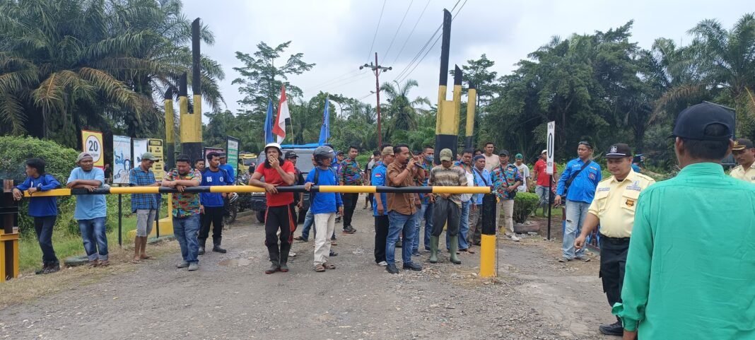 DPC F-SPTI-KSPSI Kabupaten Labuhanbatu Unjuk Rasa Ke PMKS PT DLI 2 DPC F-SPTI-KSPSI Kabupaten Labuhanbatu Unjuk Rasa Ke PMKS PT DLI 2