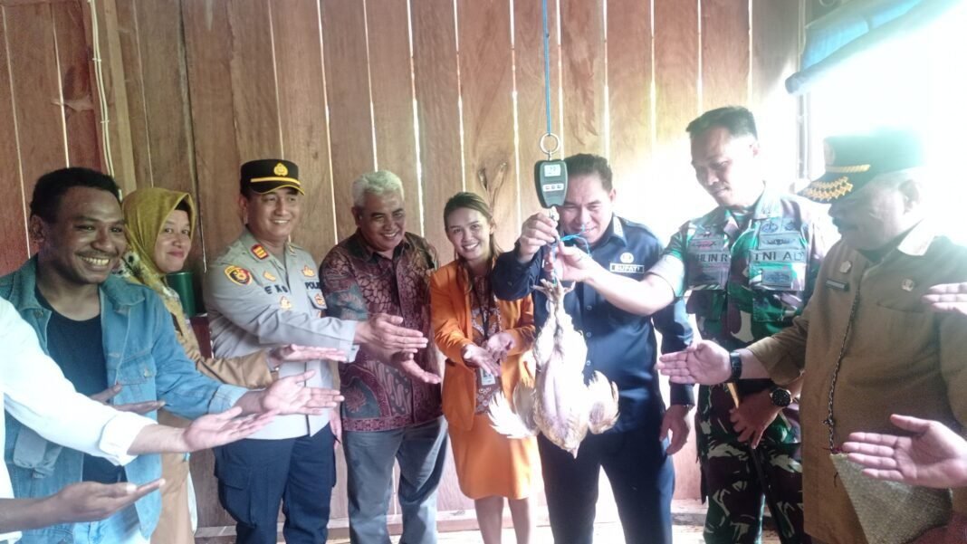 Bupati Fakfak Resmikan Panen Perdana Peternakan Ayam Pedaging Koperasi Produsen Papua Mitra Usaha. Bupati Fakfak Resmikan Panen Perdana Peternakan Ayam Pedaging Koperasi Produsen Papua Mitra Usaha.