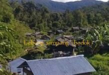 Aktivis Senior, Alpian Akan Laporkan Oknum Perusak Hutan Lindung Tambang Emas Ilegal di Lebong