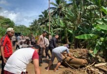 Polisi Sigap Bersihkan Material Longsor Pasca Banjir di Halmahera Utara