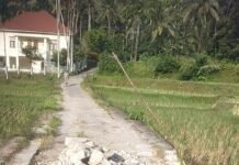 JALAN KERUMAH A R ANGGOTA DPRD PESSEL DI PORTAL WARGA