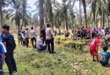Polres Langkat Ungkap Kasus Penemuan Mayat Bayi di Sungai Desa Gergas, Satu Orang Diamankan