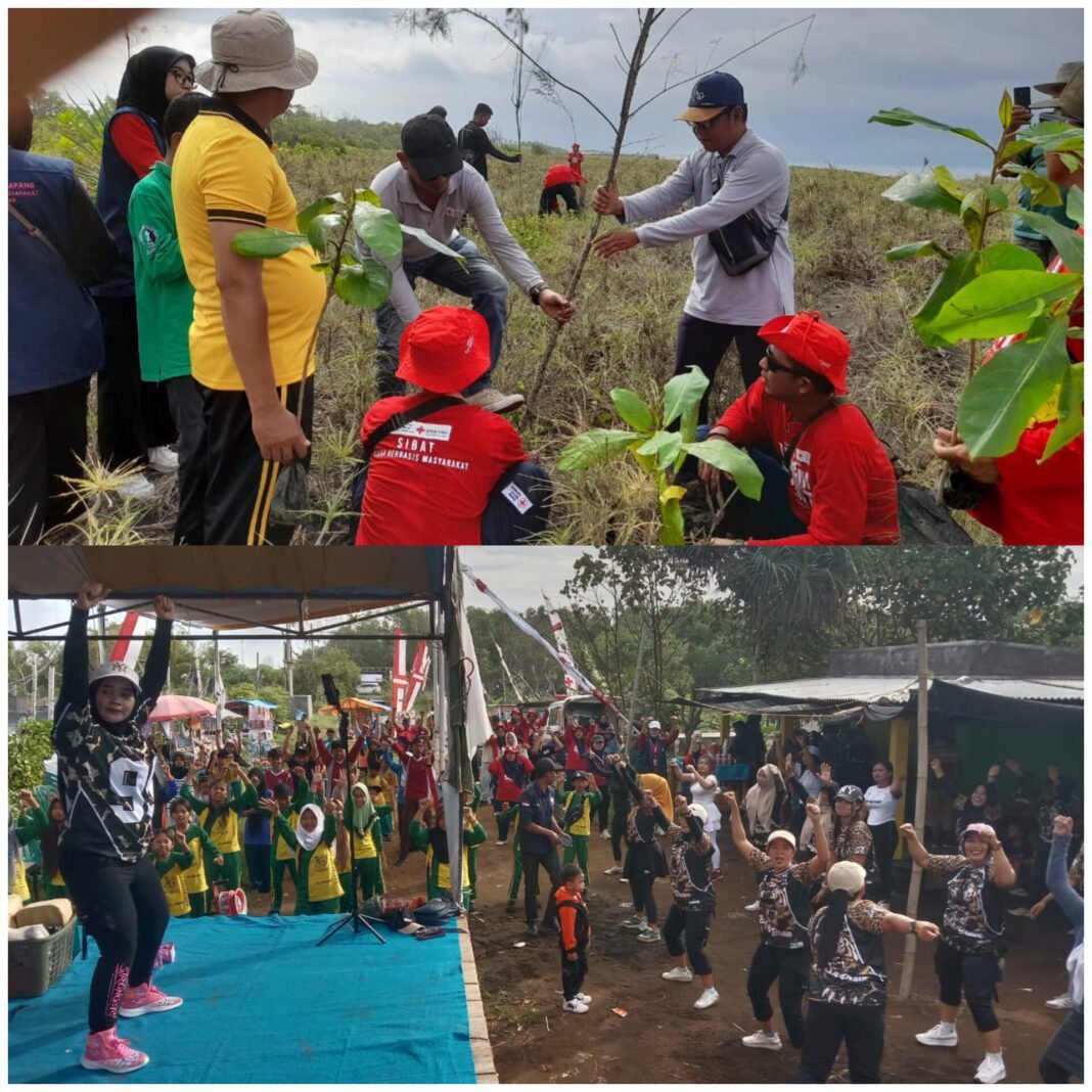 SIBAT PMI Jember Tanam Ribuan Pohon di Pantai Pansela, Perkuat Kesiapsiagaan Bencana SIBAT PMI Jember Tanam Ribuan Pohon di Pantai Pansela, Perkuat Kesiapsiagaan Bencana