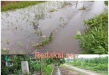 Irigasi Diduga Gagal Fungsi, Air Terbuang dan Sawah Terendam, LSM Desak APH Usut Proyek BBWS di Desa Menampuh