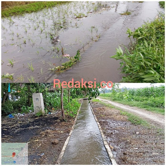 InShot_20260124_184408104