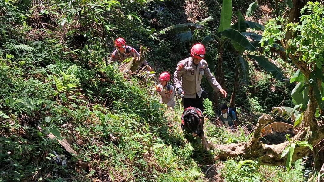 Polda Malut Kerahkan Unit K9 Bantu Pencarian Warga Hilang di Hutan Desa Kusu Polda Malut Kerahkan Unit K9 Bantu Pencarian Warga Hilang di Hutan Desa Kusu