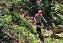 Polda Malut Kerahkan Unit K9 Bantu Pencarian Warga Hilang di Hutan Desa Kusu