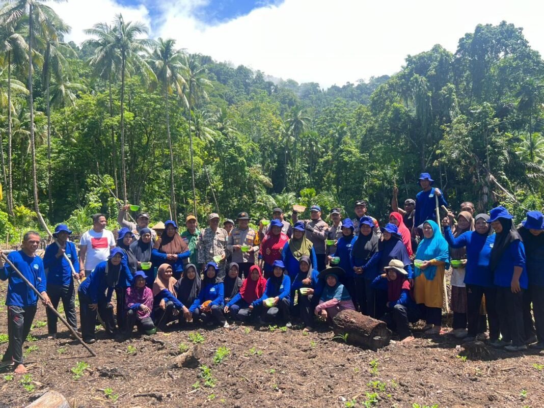 Dukung Ketahanan Pangan, Polsek Gane Barat Terjun Langsung Tanam Jagung Bersama Kelompok Tani Dukung Ketahanan Pangan, Polsek Gane Barat Terjun Langsung Tanam Jagung Bersama Kelompok Tani