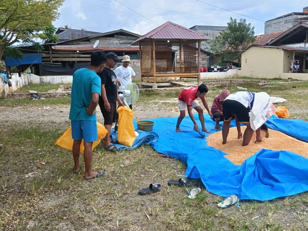 Polsek Tabulahan Turun Tangan Jemur Jagung Warga, Pastikan Harga Tembus Rp5.500 per Kilogram Polsek Tabulahan Turun Tangan Jemur Jagung Warga, Pastikan Harga Tembus Rp5.500 per Kilogram