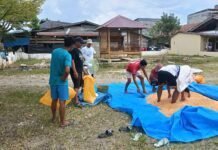 Polsek Tabulahan Turun Tangan Jemur Jagung Warga, Pastikan Harga Tembus Rp5.500 per Kilogram