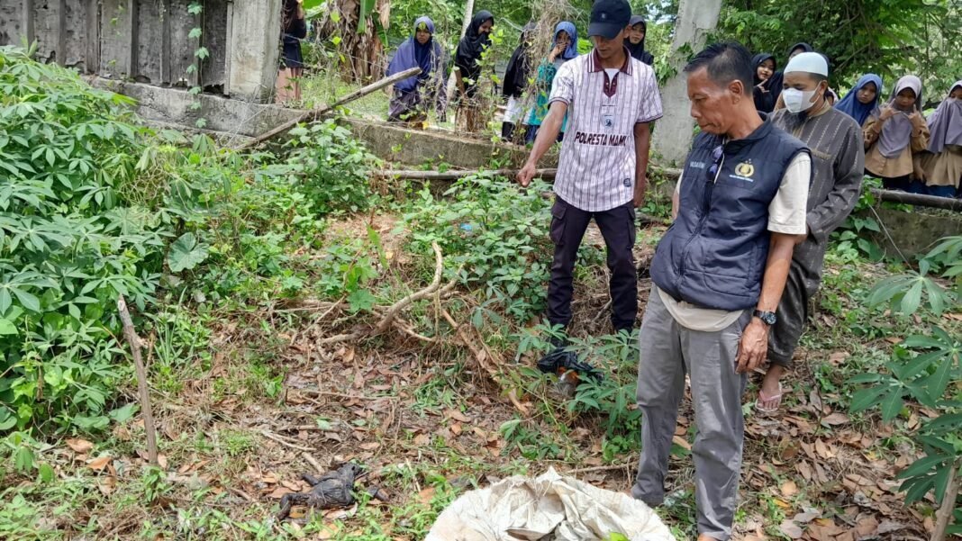 Penemuan Mayat Bayi Gegerkan Warga Kalukku, Polisi Lakukan Penyelidikan Penemuan Mayat Bayi Gegerkan Warga Kalukku, Polisi Lakukan Penyelidikan