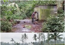 Optimasi Lahan Berbasis Mata Air Pegunungan, Desa Curah Kalong Jadi Motor Pangan