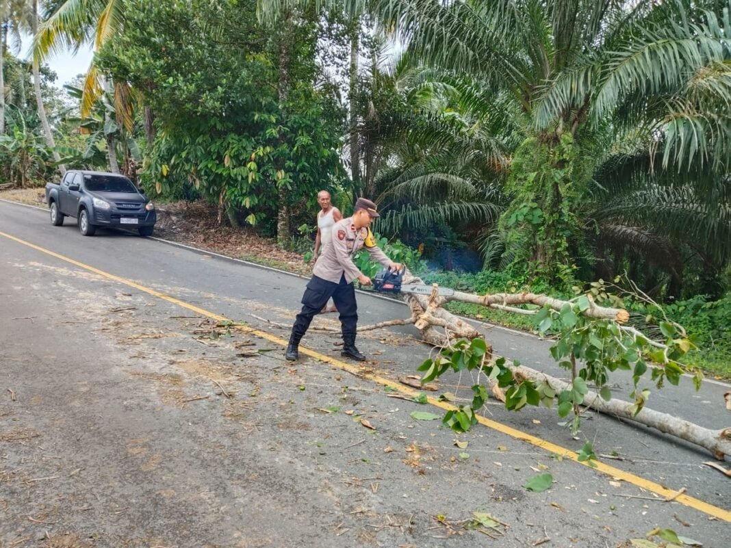 Pohon Tumbang Tutup Jalur Trans Sulawesi, Polsek Sampaga Bergerak Cepat Bersama Warga Pohon Tumbang Tutup Jalur Trans Sulawesi, Polsek Sampaga Bergerak Cepat Bersama Warga