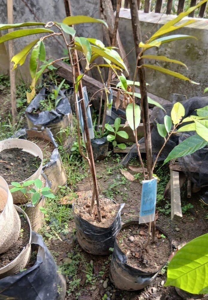 IMG-20260226-WA0025~2