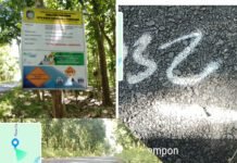 Aspal Bergelombang Meski Baru Sebulan, Proyek Jalan Pesanggaran–Pantai Lampon Disorot Warga