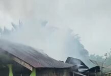 Musibah Kebakaran Menimpa Rumah Warga Gampong Ranubdong Kecamatan Meureubo, Kerugian Mencapai 250 Juta