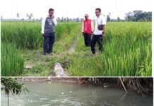 Tak Perlu Tunggu Musim Hujan, Poktan Budi Luhur Sukorejo Kini Cukup Isi Token Listrik untuk Tiga Kali Tanam