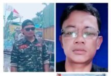 Di duga hutan kawasan Bayung lencir di jadikan lahan full mobil batu bara oleh PT.PEPUTRA INTI INDO ( PII)