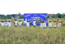 Panen Padi dan Sayuran di SAE Paswangi, Kakanwil Ditjenpas Jatim Puji Inovasi Pembinaan Lapas Banyuwangi