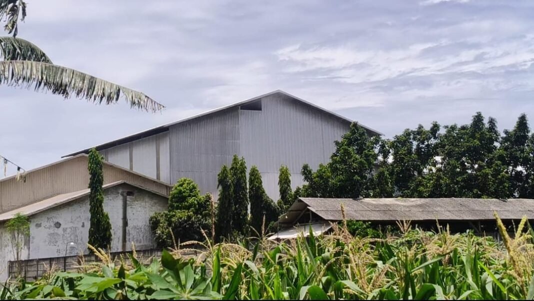 Gudang Selep Padi dan Ternak Ayam di Lojejer Dikeluhkan Warga, DLH Diminta Turun Tangan Gudang Selep Padi dan Ternak Ayam di Lojejer Dikeluhkan Warga, DLH Diminta Turun Tangan