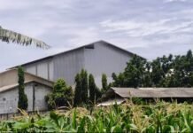 Gudang Selep Padi dan Ternak Ayam di Lojejer Dikeluhkan Warga, DLH Diminta Turun Tangan