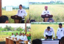 Sawah Gunung Cafe Resmi Dibuka, Masyarakat Kini Bisa Nikmati Kopi di Tengah SAE Paswangi yang Asri