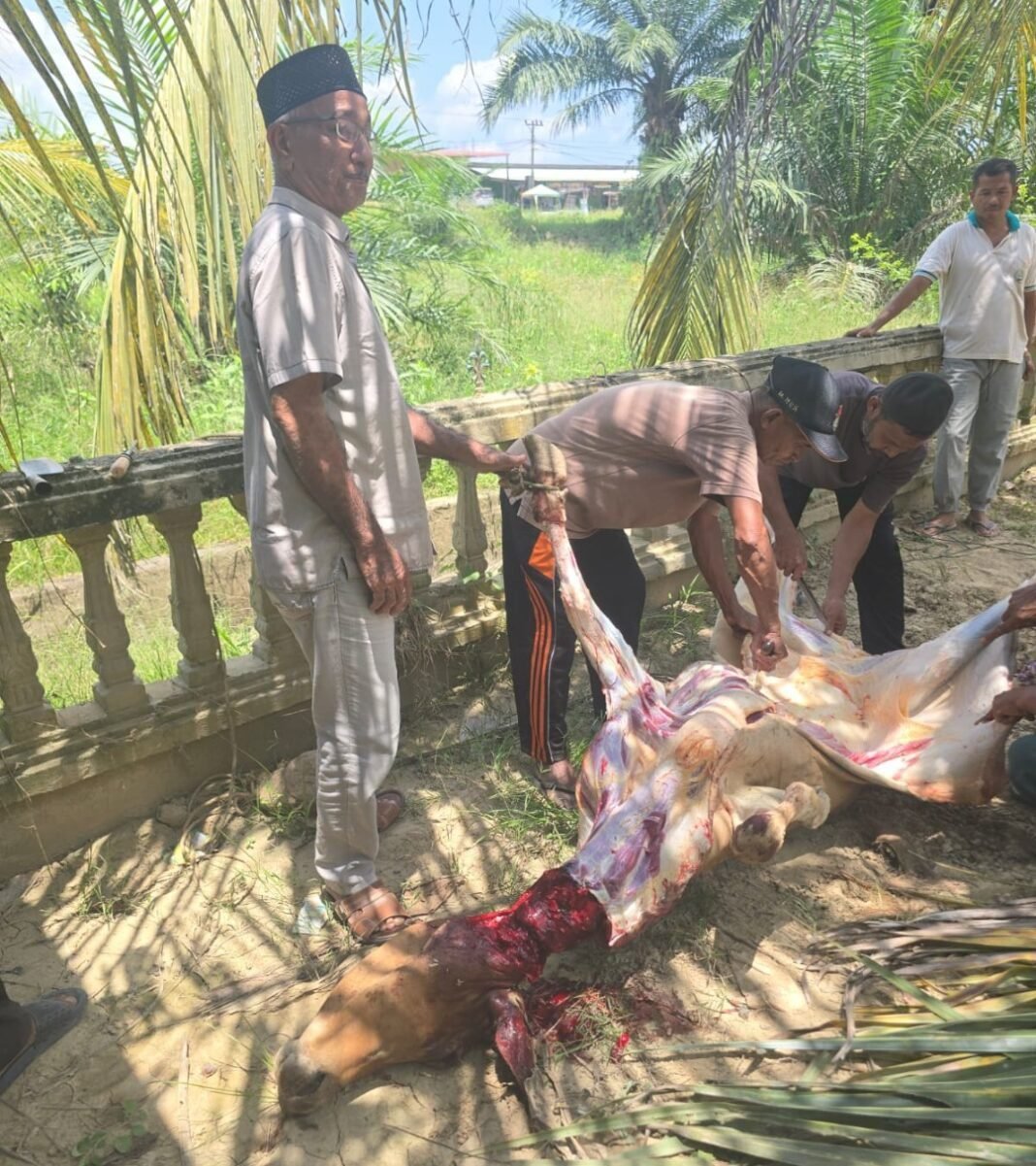 Ketika Kepedulian Hadir, Warga Pengungsi Langkahan Bahagia Berbuka Dengan Daging Ketika Kepedulian Hadir, Warga Pengungsi Langkahan Bahagia Berbuka Dengan Daging