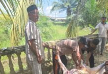 Ketika Kepedulian Hadir, Warga Pengungsi Langkahan Bahagia Berbuka Dengan Daging