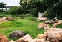 LSM Sapu Jagat NTB Kecam Aktivitas Tambang Batu Boulder di Kecamatan Pringgabaya Lombok Timur